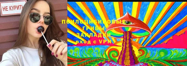 амфетамин Белокуриха