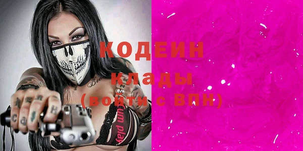 индика Саяногорск