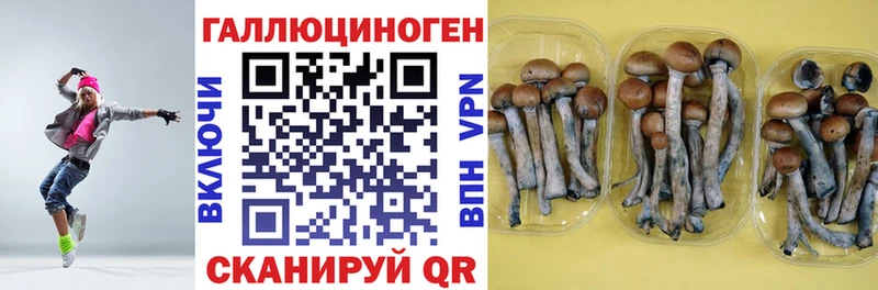 Псилоцибиновые грибы ЛСД Первомайск